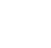 WPC Icon
